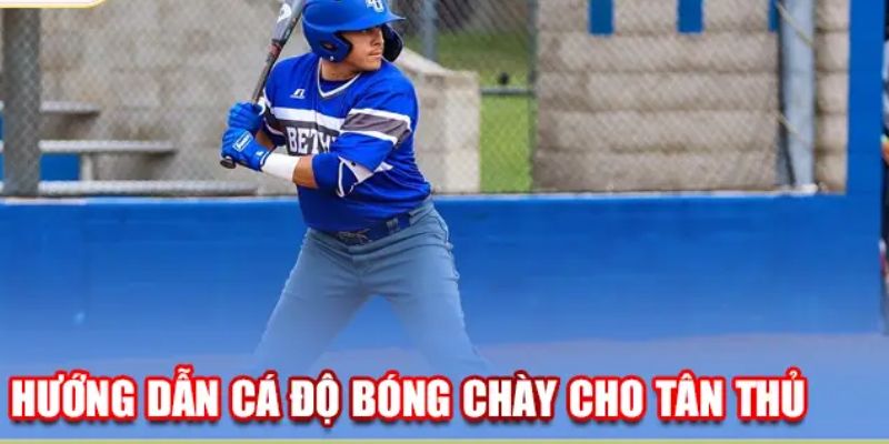 Cá Độ Bóng Chày - Ngày càng thu hút nhiều cược thủ tham gia