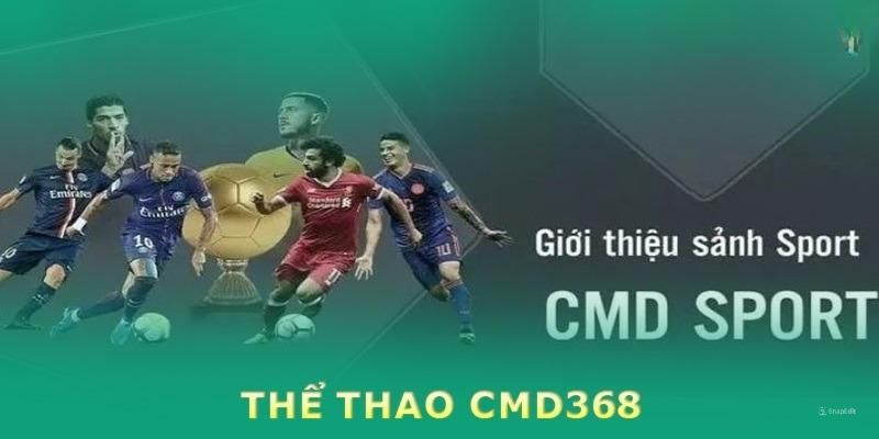 Giải mã sức hút sảnh thể thao CMD368