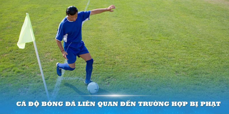 Thuật ngữ cá độ bóng đá liên quan đến trường hợp bị phạt