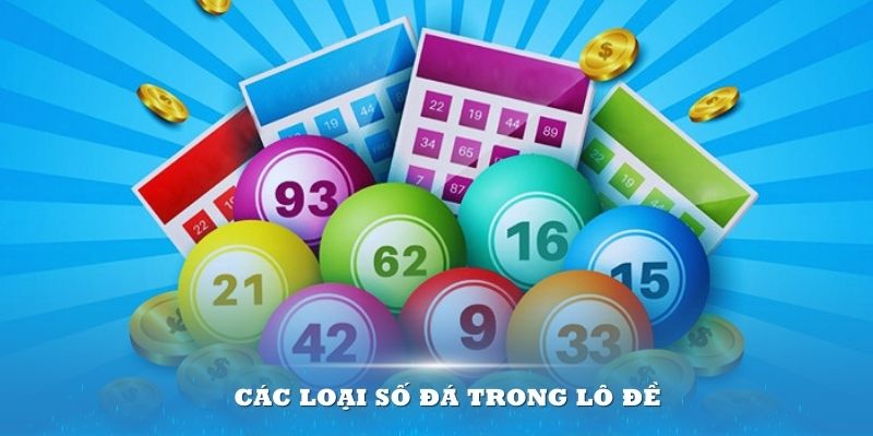 Giới thiệu về các loại số đá trong lô đề