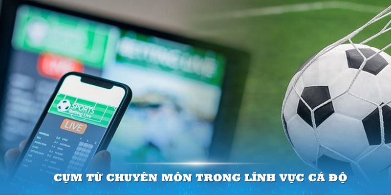 Cụm từ chuyên môn trong lĩnh vực cá độ