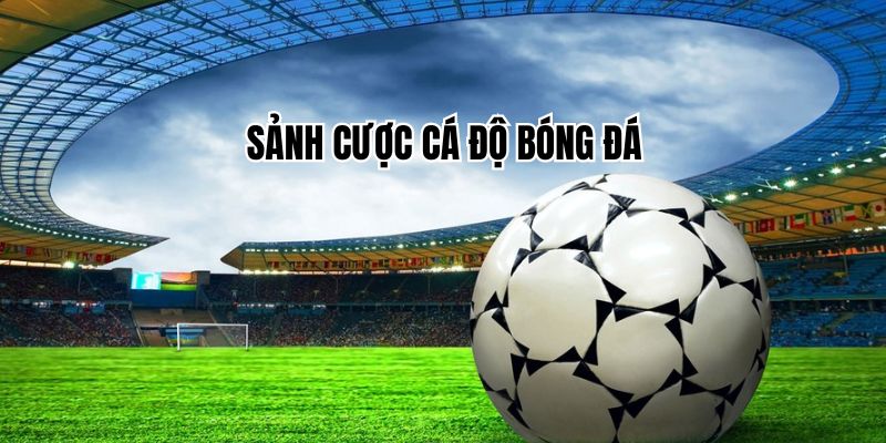 Các sảnh cược bóng đá đỉnh cao