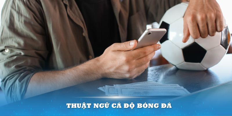 Thuật ngữ cá độ bóng đá đầy đủ, chi tiết cho tân binh