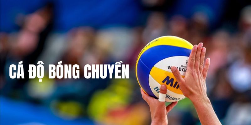 Vài nét về cá cược bóng chuyền