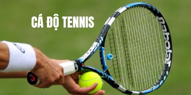 Cơ bản về loại hình cá cược thượng lưu - Tennis