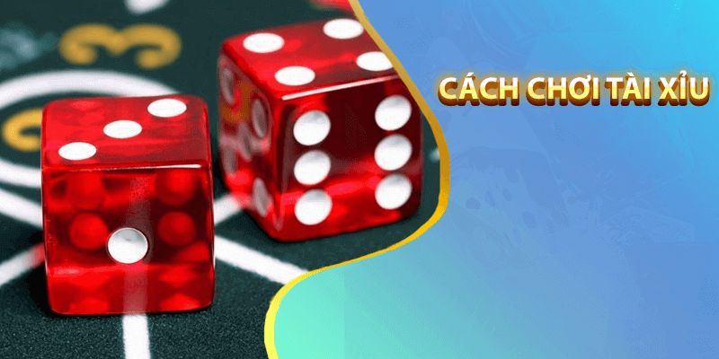 Cách thức và luật lệ tham gia sicbo